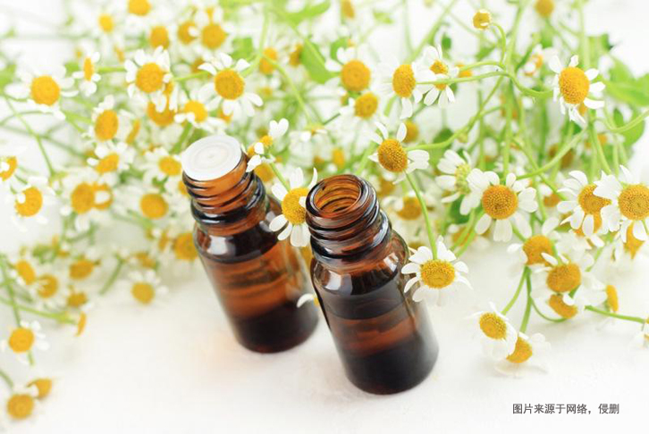 摩洛哥洋甘菊精油進口報關