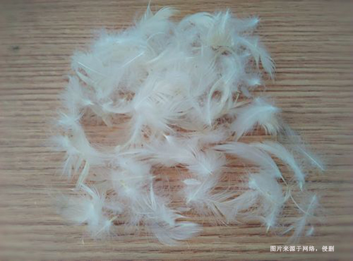 進口馬來西亞水洗鴨毛報關(guān)