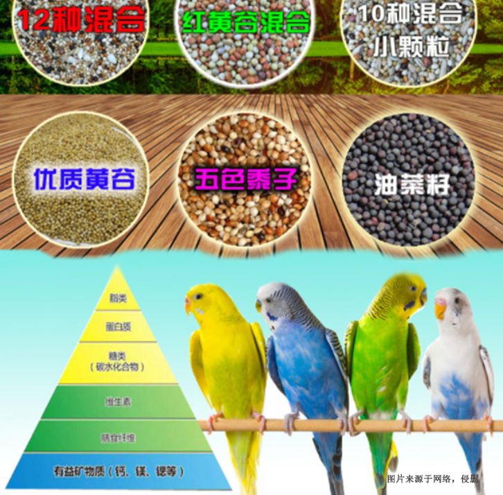 廣州進(jìn)口加拿大寵物飼料清關(guān)流程