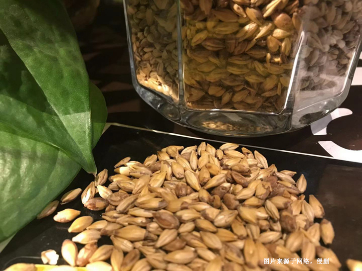 澳大利亞麥芽進口報關(guān)資料