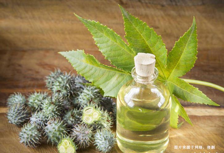 印度精煉蓖麻油進(jìn)口報(bào)關(guān)流程