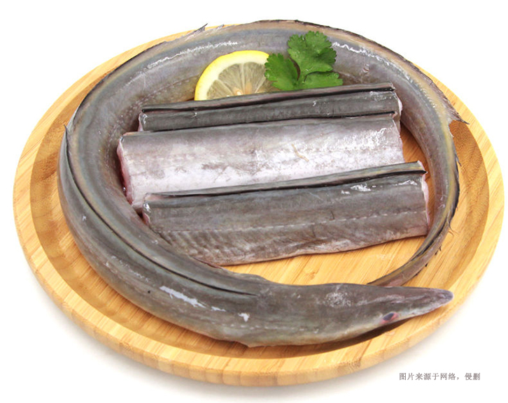 馬來(lái)西亞冷凍鰻魚進(jìn)口報(bào)關(guān)