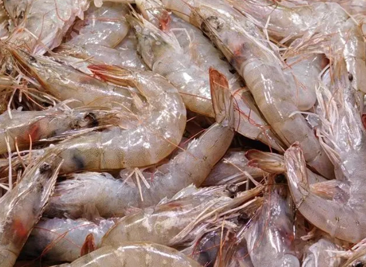 上海進口加拿大北極蝦報關(guān)流程