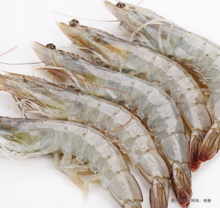 廣州進口印尼冷凍蝦報關(guān)流程