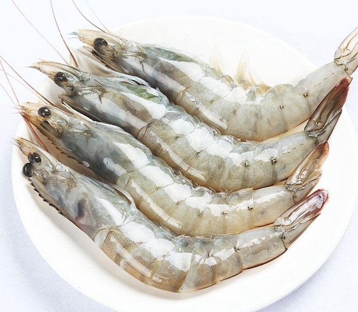 馬來(lái)西亞冷凍蝦進(jìn)口報(bào)關(guān)公司