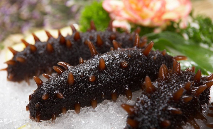 法國冰鮮海參進(jìn)口報(bào)關(guān)公司