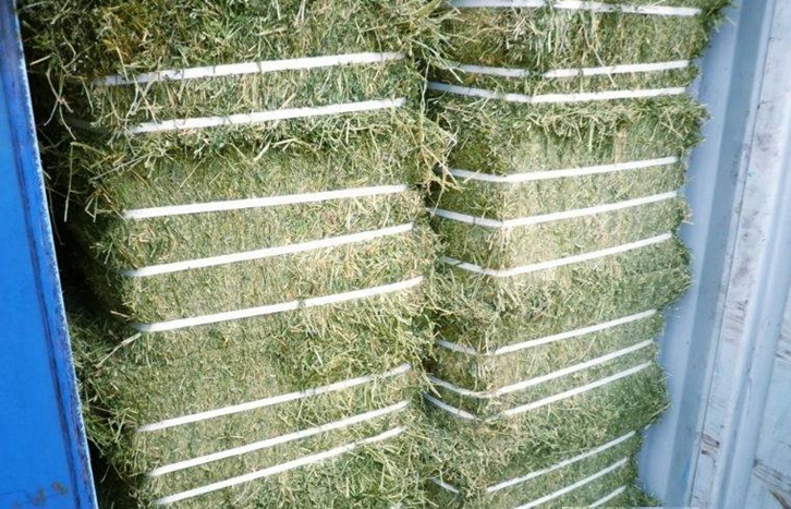 加拿大梯牧草進口報關流程