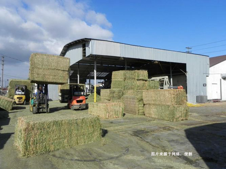 南非苜蓿草進口報關(guān)費用-節(jié)省50%飼料報關(guān)報檢費用