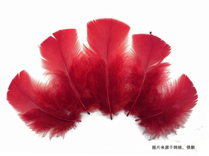 泰國(guó)進(jìn)口火雞毛報(bào)關(guān)流程