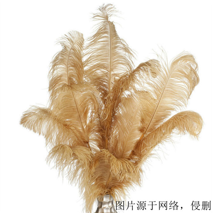 鴕鳥(niǎo)羽毛進(jìn)口報(bào)關(guān)資料