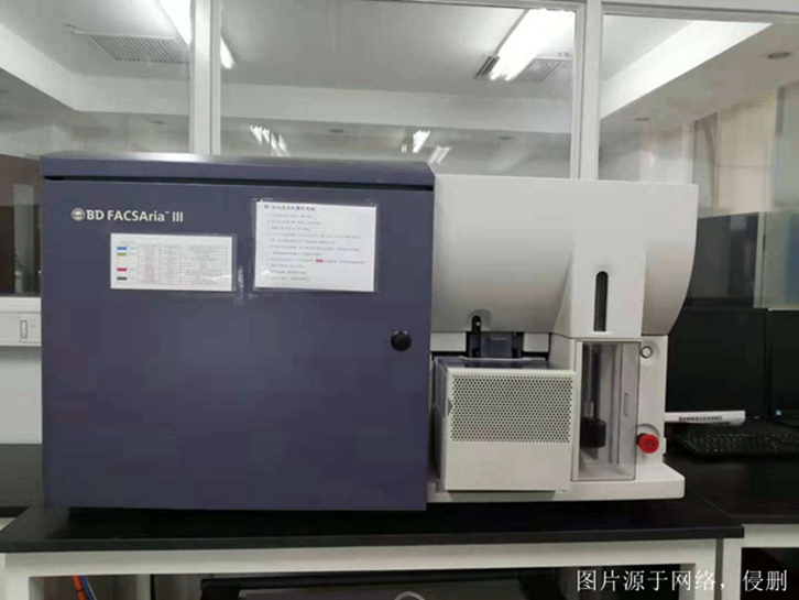 深圳進口舊設(shè)備報關(guān)流程