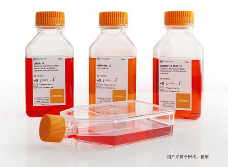 德國細(xì)胞培養(yǎng)試劑進口報關(guān)資料