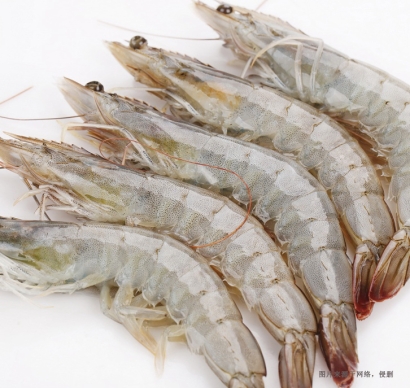 天津進(jìn)口厄瓜多爾南美白蝦清關(guān)資料冷凍水產(chǎn)品案例