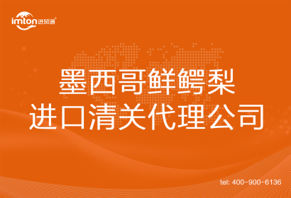 墨西哥鮮鱷梨進口清關(guān)代理公司