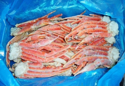 加拿大冷凍雪蟹進口報關到寧波穿山港區(qū)水產(chǎn)品案例