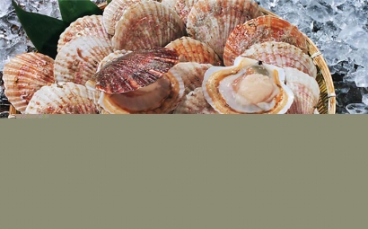 菲律賓扇貝進口報關(guān)原來沒那么復(fù)雜