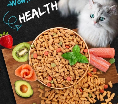 進(jìn)口寵物食品報(bào)關(guān)單證_詳解進(jìn)口流程及要點(diǎn)