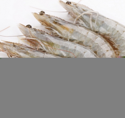 越南冷凍蝦進口清關(guān)流程到廣州南沙港水產(chǎn)品案例