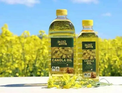 上海進口菜籽油清關公司哪家好？菜籽油報關公司