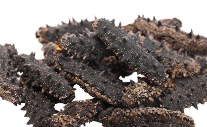 干海參進(jìn)口報(bào)關(guān)手續(xù)_干海參進(jìn)口的關(guān)稅