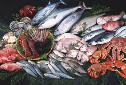 冷凍海鮮進口清關