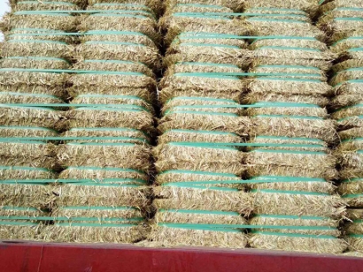 澳大利亞燕麥草進(jìn)口報(bào)關(guān)資料_飼料清關(guān)注意事項(xiàng)