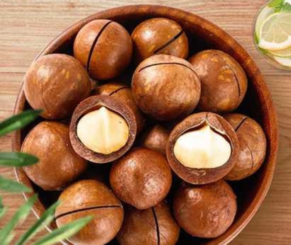 澳大利亞夏威夷果進口報關手續-19年堅果食品報關行