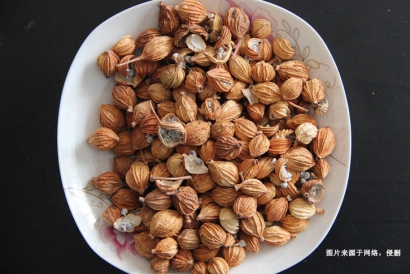 越南豆蔻到深圳港進口清關操作流程及細節(jié)｜詳解信息