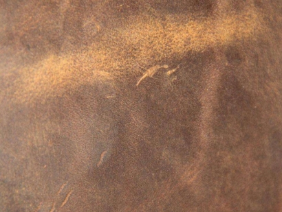 (非食用動物產(chǎn)品)巴西馬屬動物皮張進(jìn)口報關(guān)流程