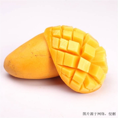 越南芒果進口清關(guān)流程_胡志明港海運水果到廣州