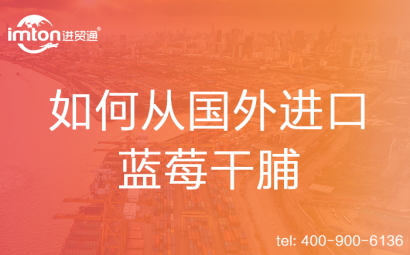 如何從國外進(jìn)口藍(lán)莓干脯