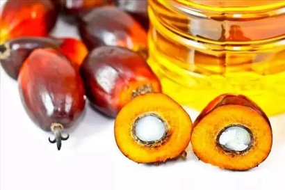 印度尼西亞棕櫚油進(jìn)口清關(guān)流程及手續(xù)介紹