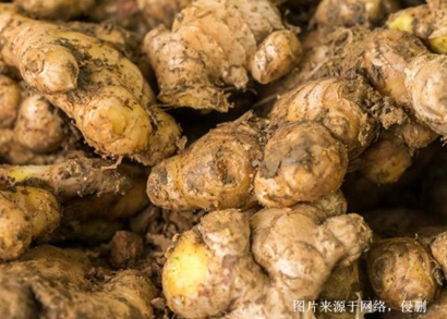 越南生姜進(jìn)口清關(guān)流程_胡志明港香料海運(yùn)進(jìn)口費(fèi)用