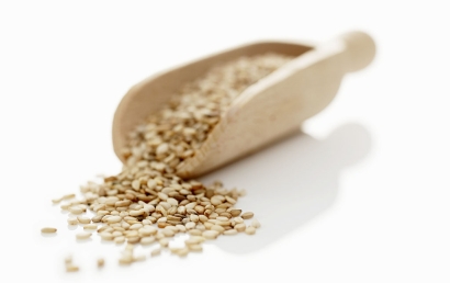 廣州芝麻進口清關(guān)代理服務(wù)