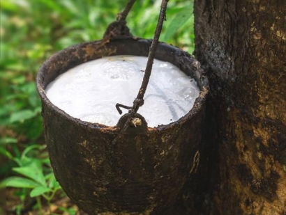 在大連橡膠進口清關流程怎么樣？越南橡膠進口關稅