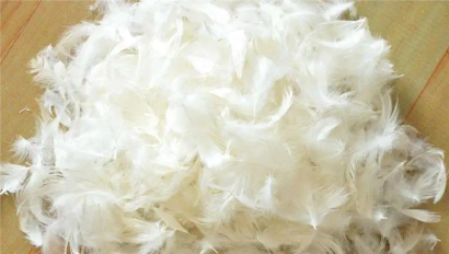 匈牙利羽絨鴨毛進口報關資料_火雞毛、羊毛清關流程