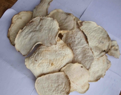 印度尼西亞魔芋干進口報關公司哪家好-18年經(jīng)驗