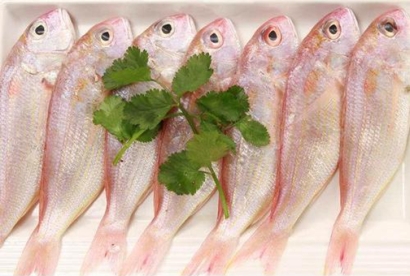 越南冷凍金線魚(yú)進(jìn)口報(bào)關(guān)資料到上海代理冷凍魚(yú)案例