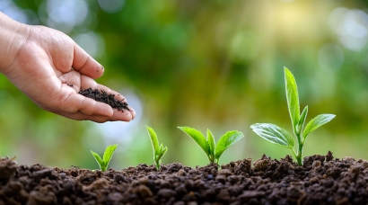 天津化肥進(jìn)口報(bào)關(guān)代理