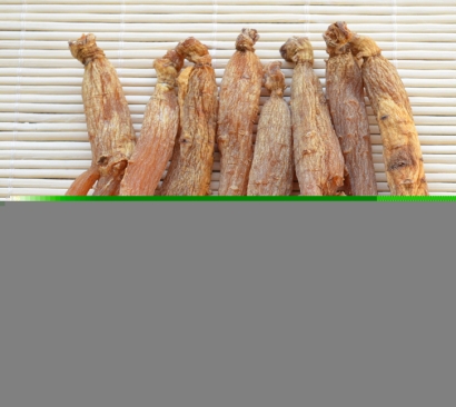 韓國高麗紅參進口報關(guān)資料_中藥材人參清關(guān)費用