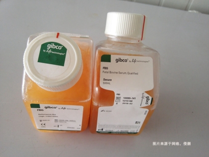 澳大利亞牛血清進口報關(guān)資料_青年牛血清生物制品