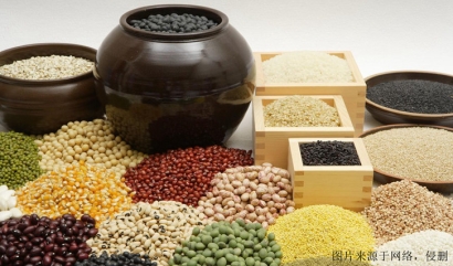 廣州進(jìn)口食品報關(guān)_廣州臻力解析詳細(xì)流程和要點(diǎn)