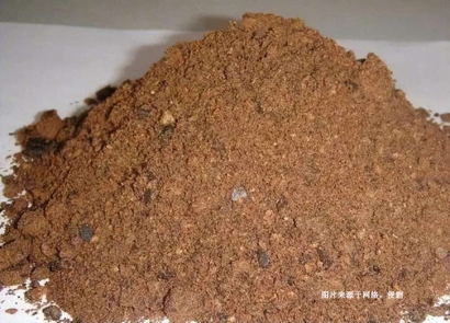 泰國棕櫚仁粕進口報關(guān)資料_棕櫚仁粕飼料準入國家