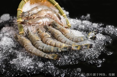 廣州冷凍食品進口清關詳解，費用、流程與注意事項｜詳解信息