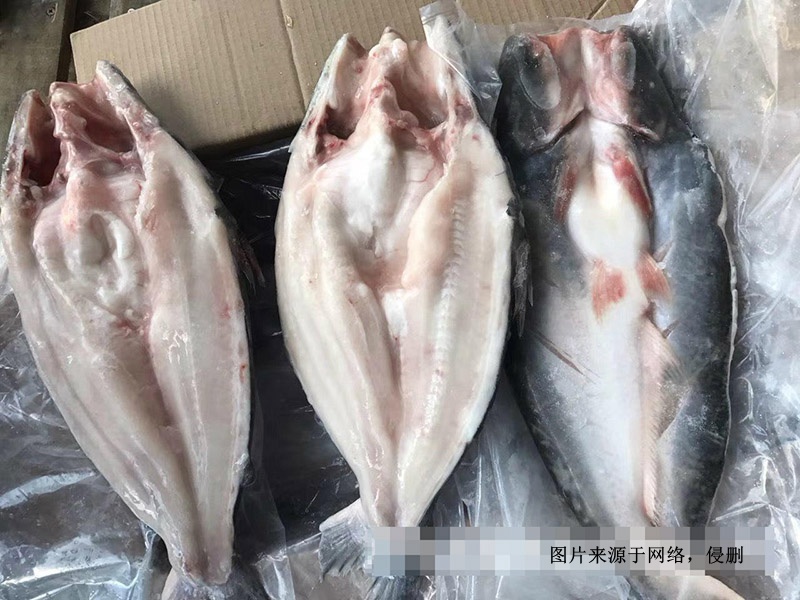 越南冷凍巴沙魚進口報關(guān)資料 越南冷凍巴沙魚進口報關(guān)資料