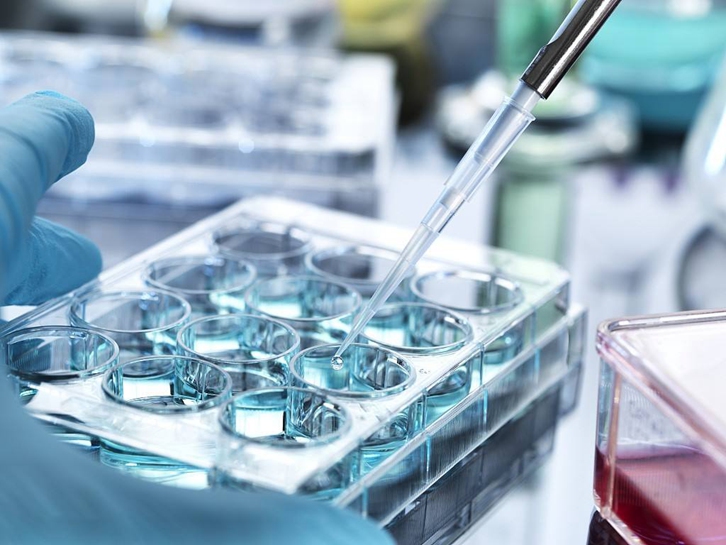 1693986346765563.jpg 青島科研生物細(xì)胞進(jìn)口報關(guān)費(fèi)用及申報注意事項(xiàng).jpg