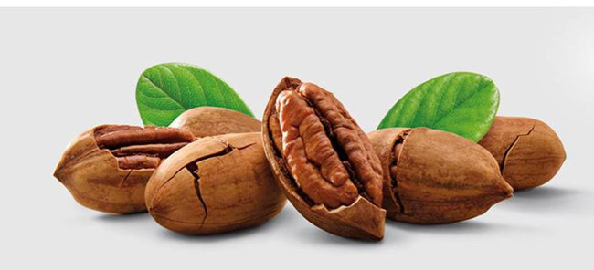 墨西哥碧根果進(jìn)口報關(guān)流程 墨西哥碧根果進(jìn)口報關(guān)流程