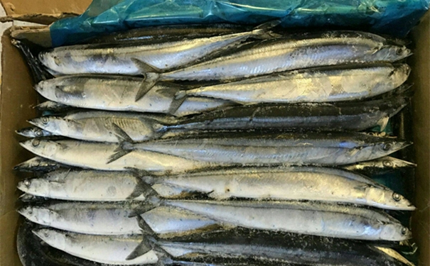 1613728452970962.jpg 進口冷凍海鮮清關代理